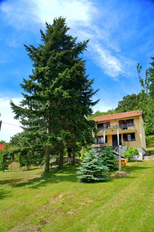 Ferienwohnung Zoja Vrdnik Exterior foto